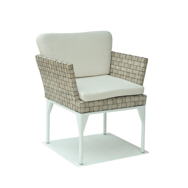 Brafta Dining Armchair (Canvas 5453)