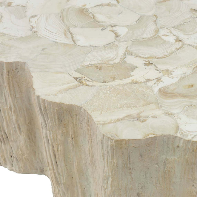 Camilla Fossilized Clam Table