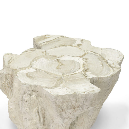 Camilla Fossilized Clam Side Table