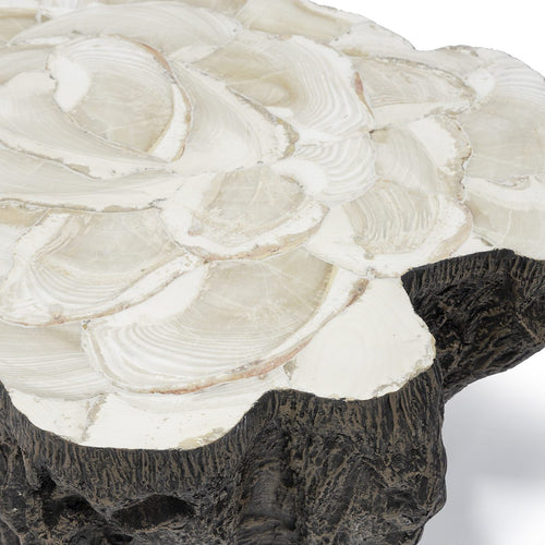 Chloe Fossilized Clam Coffee Table