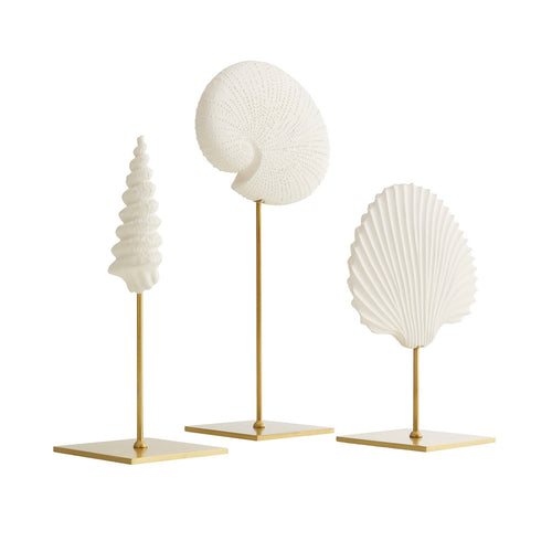 Shell Sculptures, Set of 3