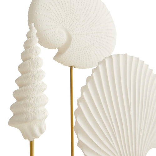 Shell Sculptures, Set of 3