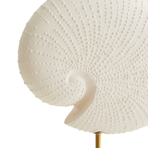 Shell Sculptures, Set of 3