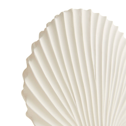 Shell Sculptures, Set of 3