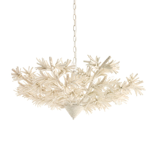 Fernanda Chandelier