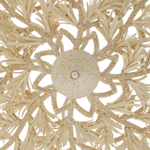 Fernanda Chandelier