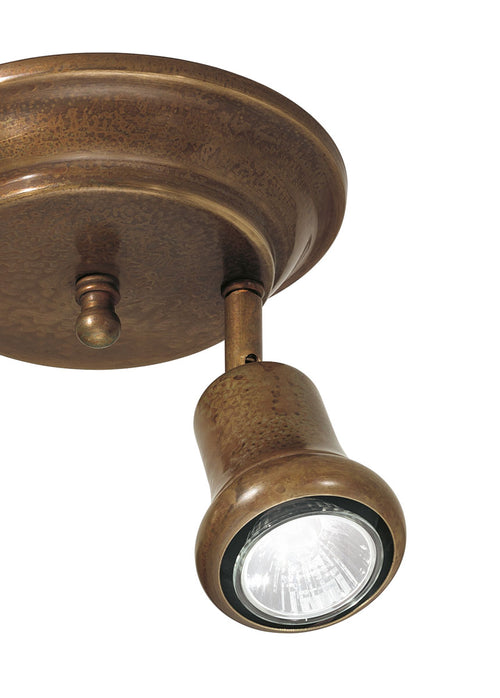 Mini Spot Ceiling Light