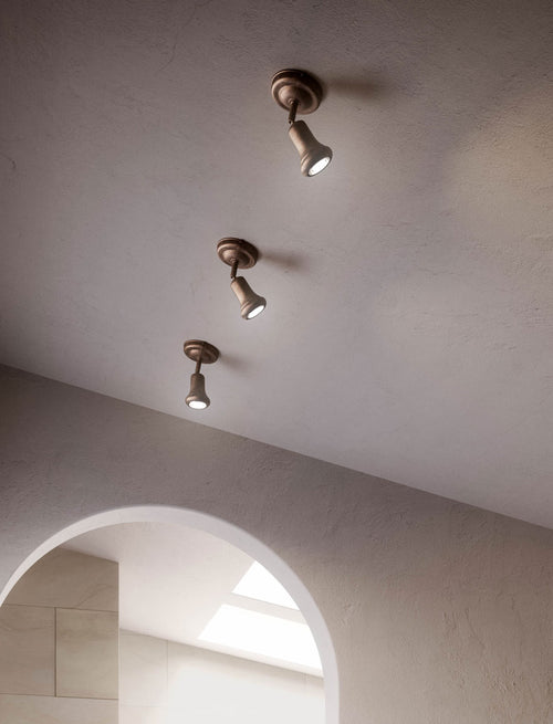 Mini Spot Ceiling Light