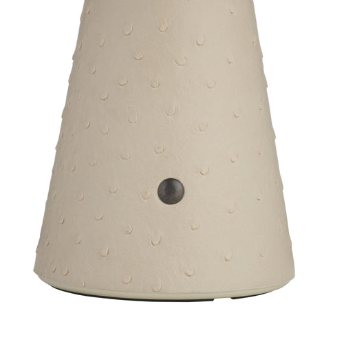 Struzzo Rechargeable Accent Lamp