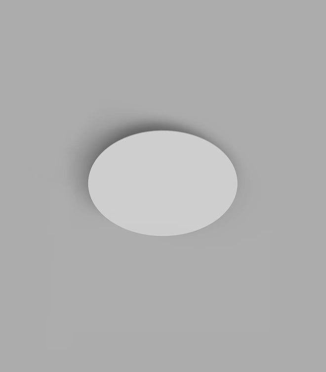 Shadow Wall/Ceiling Light