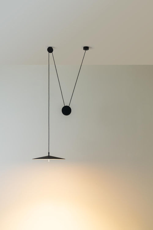 Pla Pendant Light