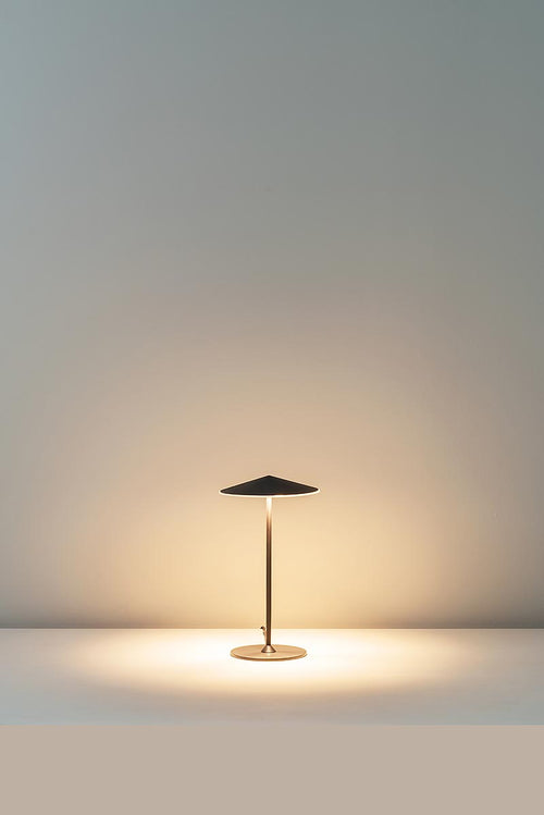 Pla Table Lamp