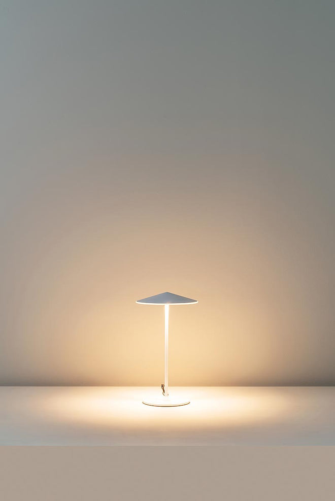 Pla Table Lamp