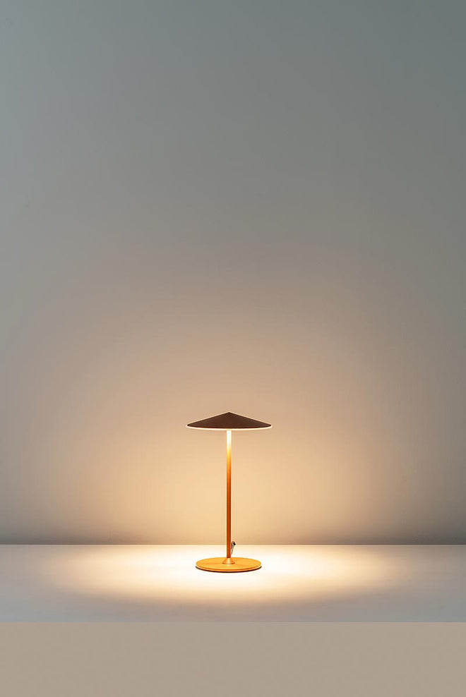 Pla Table Lamp